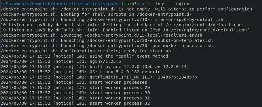 Nginx container logs