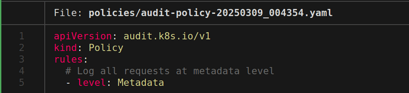 sample audit policy